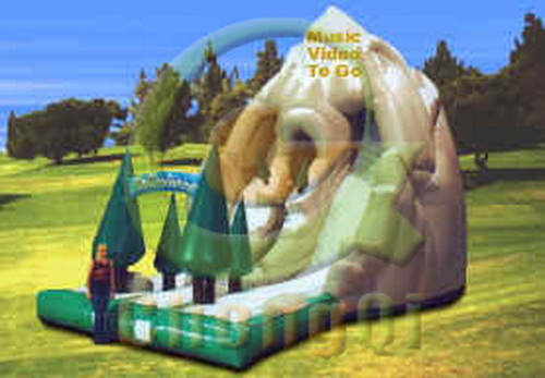 giant adult inflatable slide